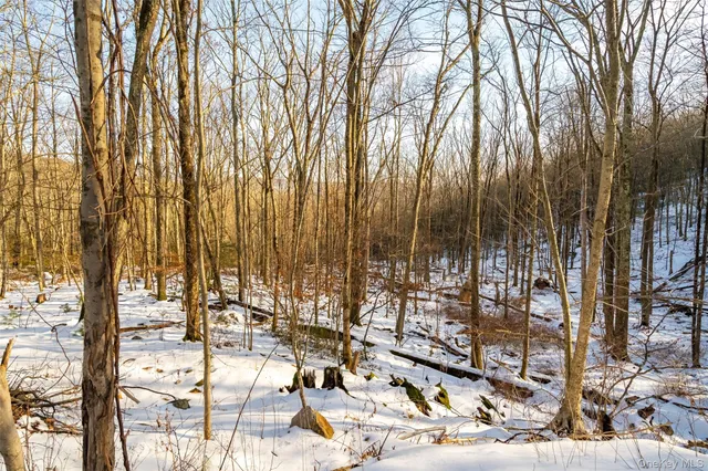 $255,000 | 7 Fern Trail, Wurtsboro, NY 12790