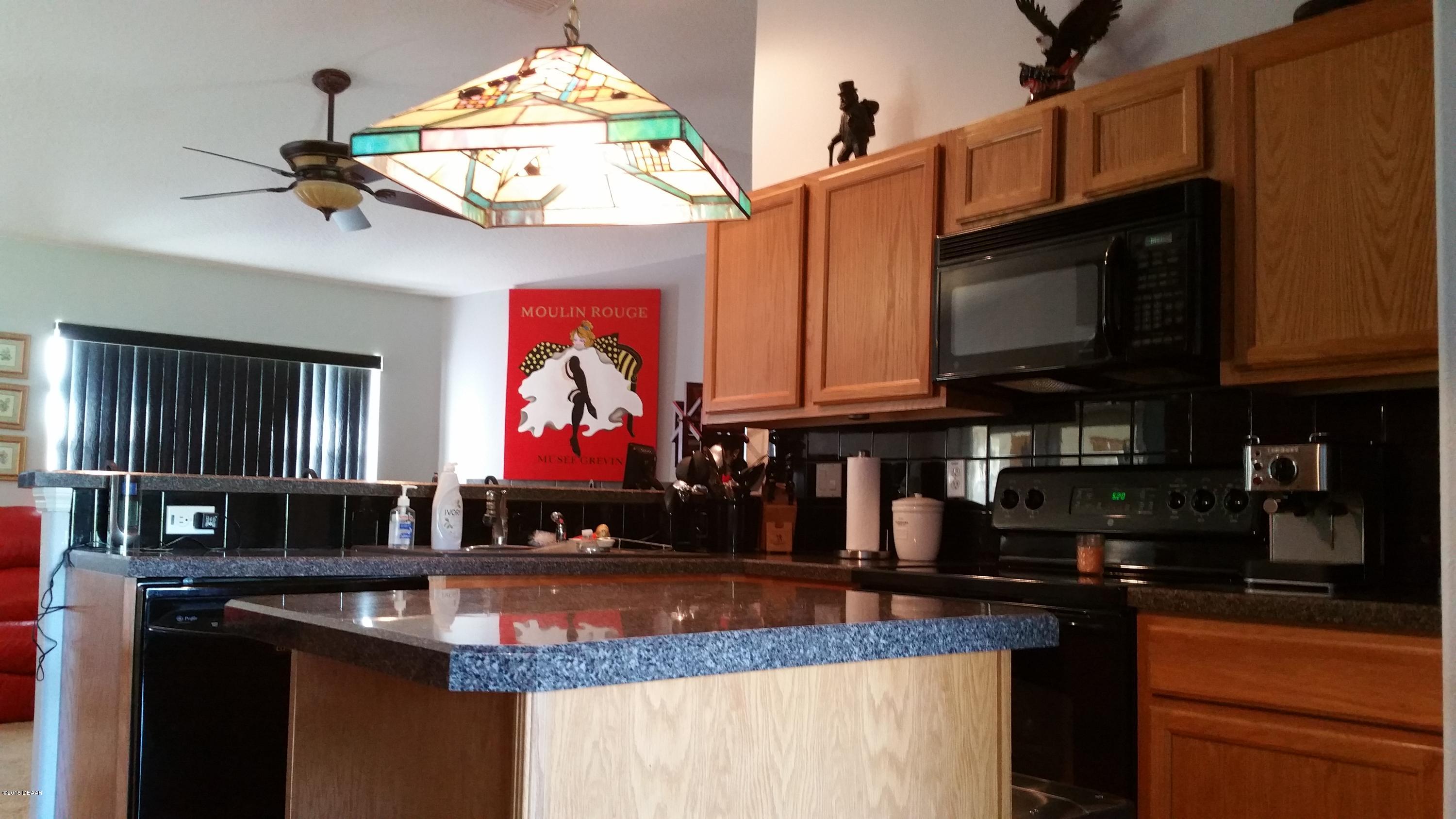 688 Rasley Road New Smyrna Beach, FL 32168 - Photo 7 of 22 20150403_172120.jpg