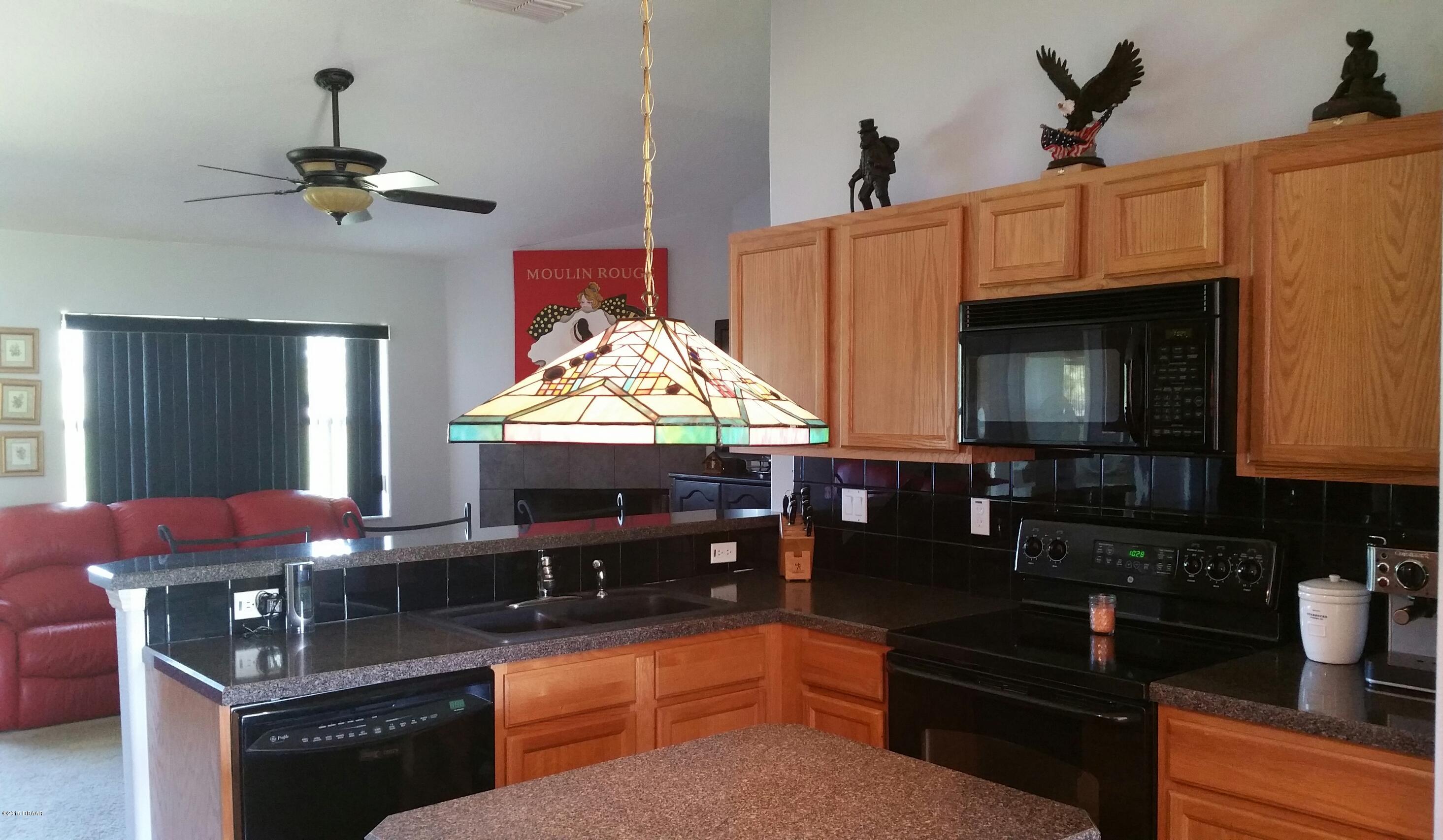 688 Rasley Road New Smyrna Beach, FL 32168 - Photo 10 of 22 20150422_103002-1