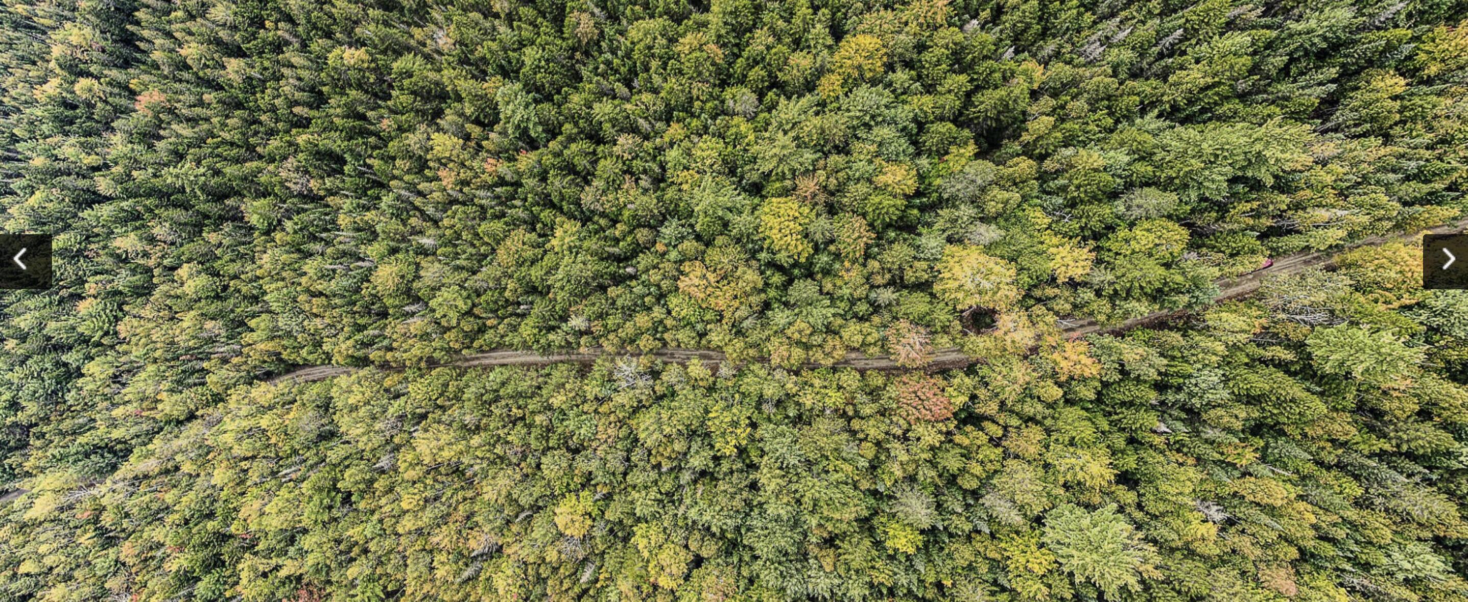 Lot 11-1 Carry Ridge Road Northfield, ME 04654 - Photo 2 of 7 Lot 11-1