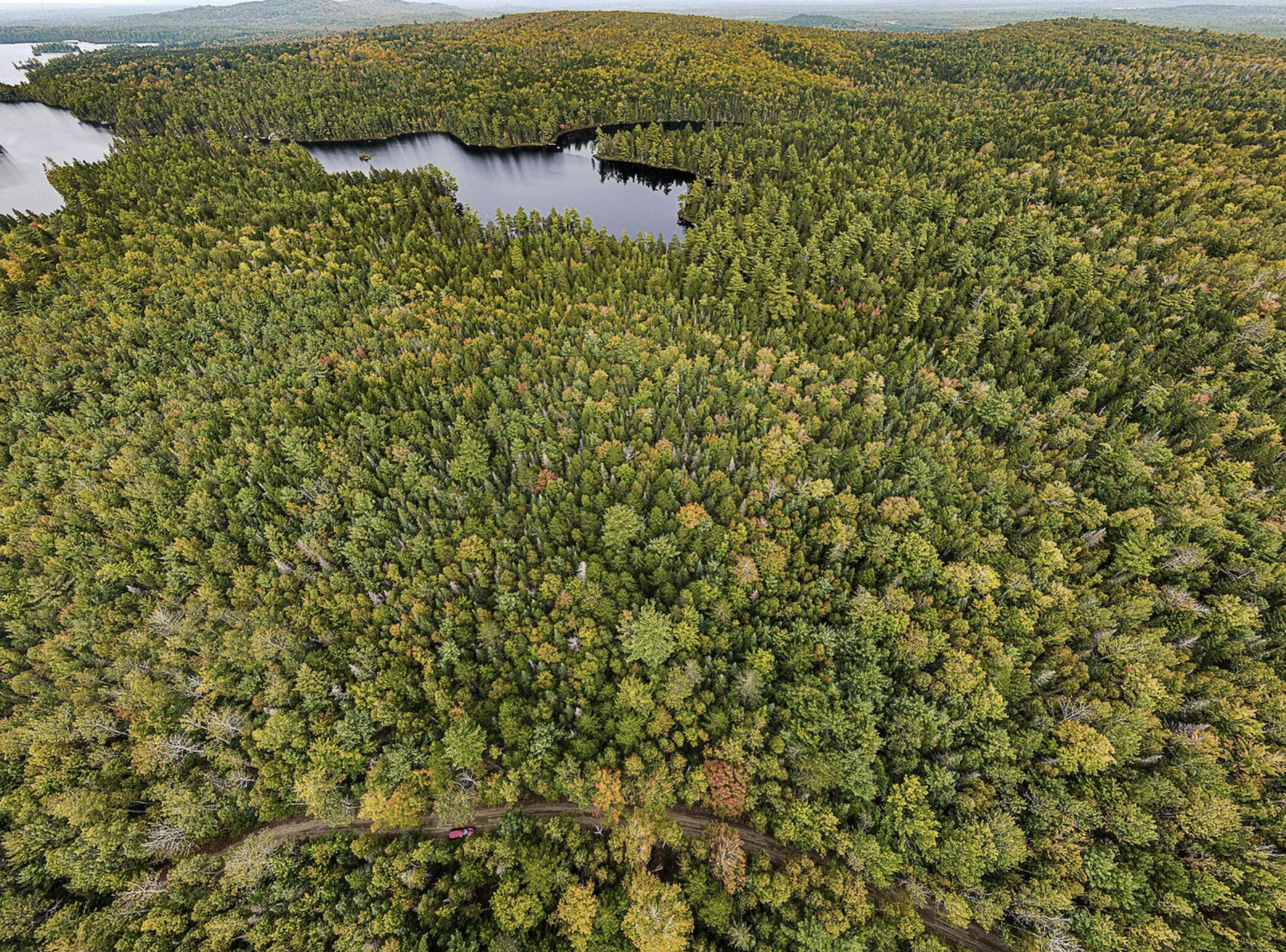 Lot 11-1 Carry Ridge Road Northfield, ME 04654 - Photo 3 of 7 Lot 11-1