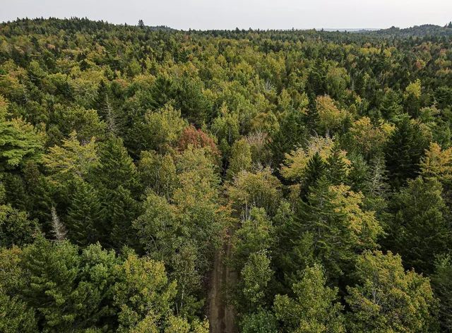 $50,000 | Lot 11-1 Carry Ridge Road, Northfield, ME 04654