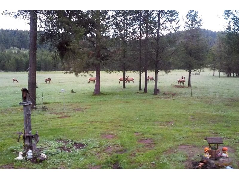 63840 Davis Creek Road Enterprise, OR 97828 - Photo 2 of 29