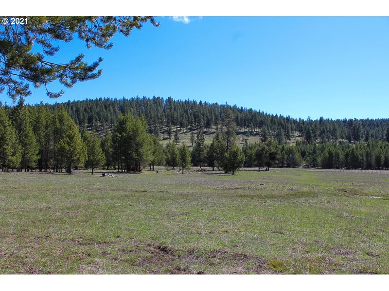 63840 Davis Creek Road Enterprise, OR 97828 - Photo 22 of 29