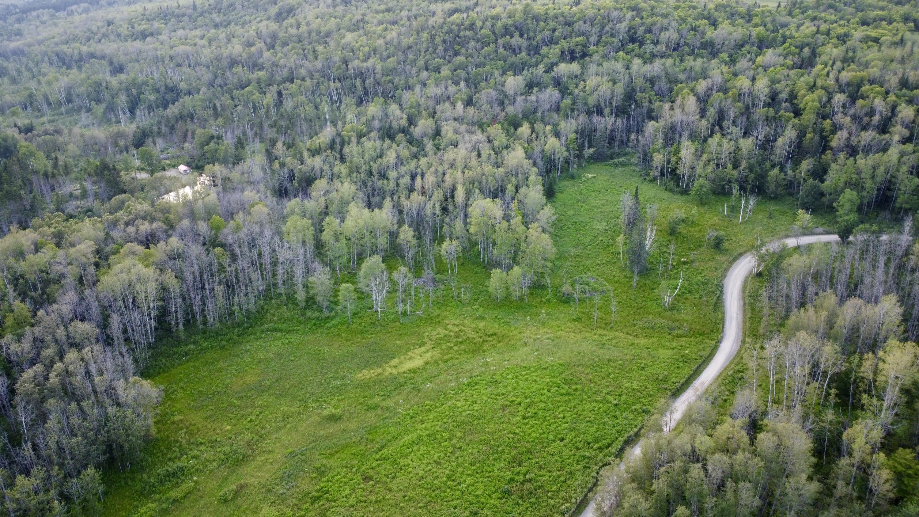Lot 75 Brisse Culotte Road St. Agatha, ME 04772 - Photo 15 of 15 DJI_0046