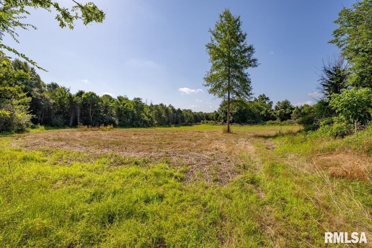0 Tom Dick Hill Road Stonefort, IL 62987 - Photo 25 of 62