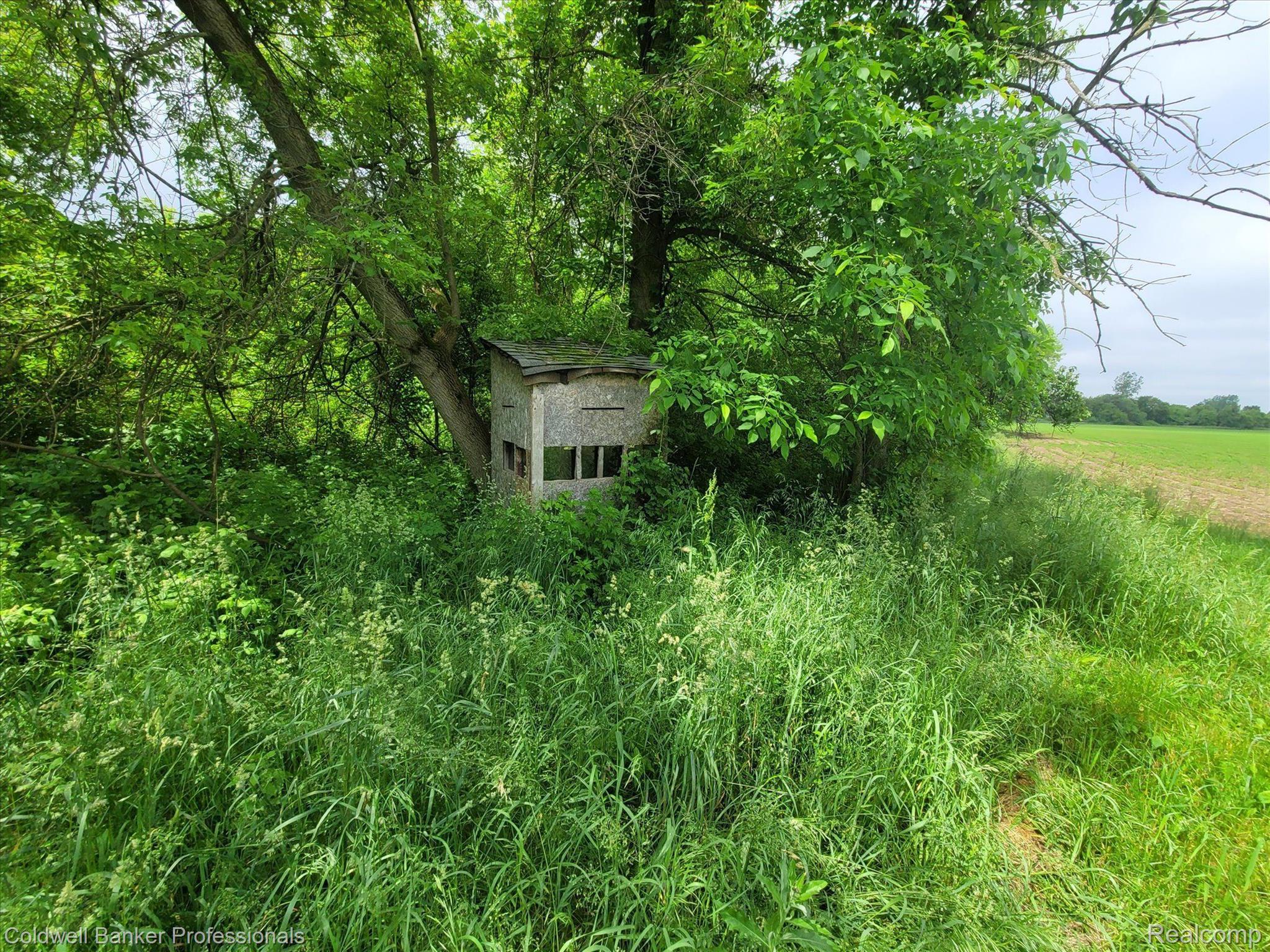 2709 Winslow Road Imlay City, MI 48444 - Photo 62 of 69 Gallery Image 62