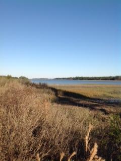 Lot 2 State Rd S-10-432 Charleston, SC 29412 - Photo 1 of 2 IMG_1228