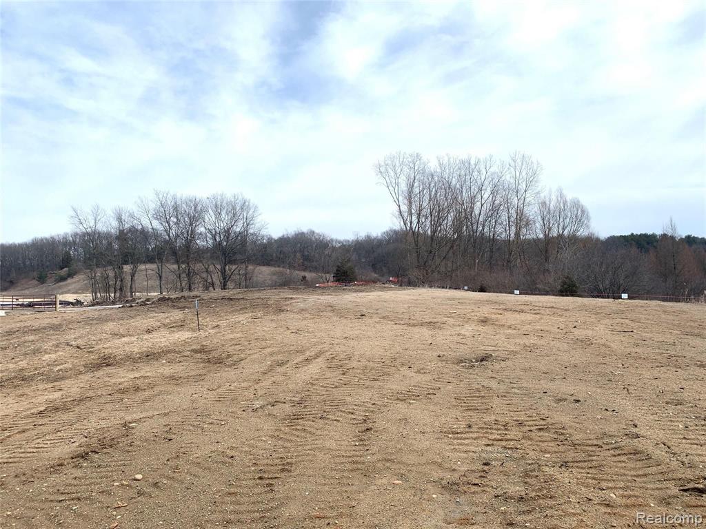 0 Chestnut Springs Drive Howell, MI 48843 - Photo 1 of 8