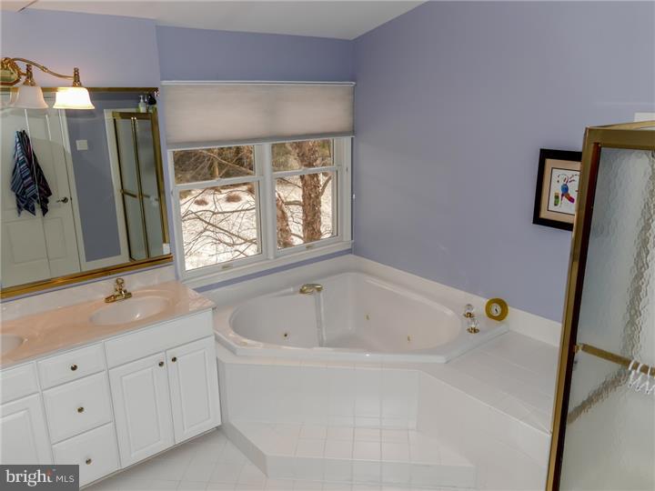 124 Hope Road Holland, PA 18966 - Photo 19 of 25 Bathroom