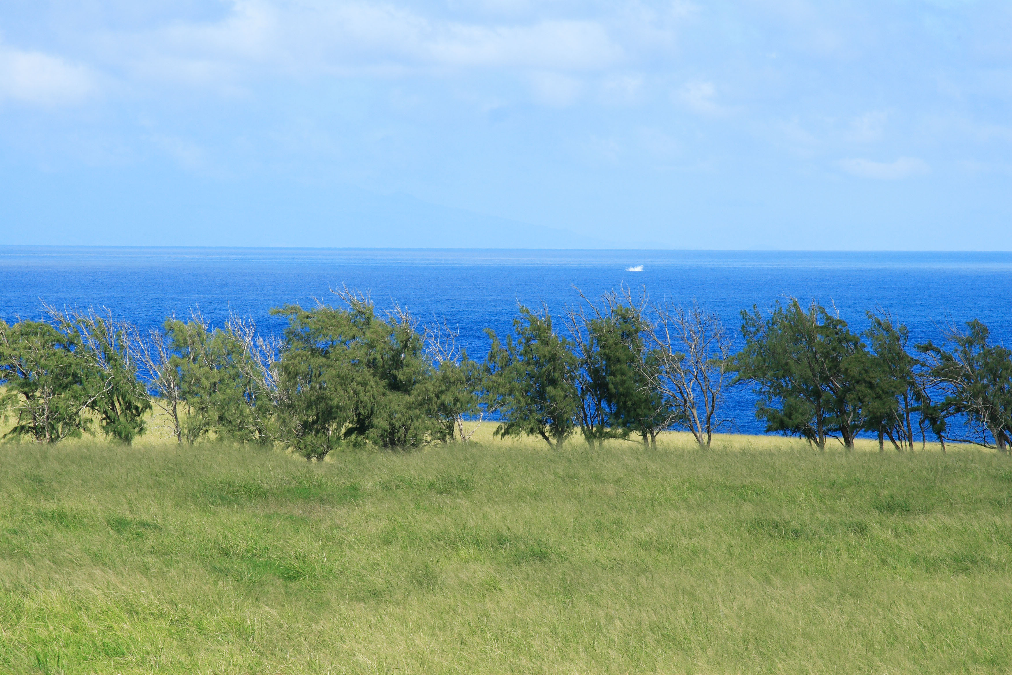 55-315 Hawi Road Kapaau, HI 96755 - Photo 12 of 12 a view of lake with mountain