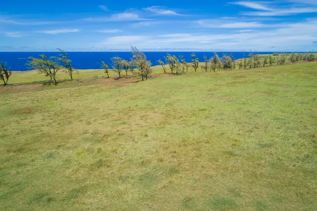 a view of an ocean beach