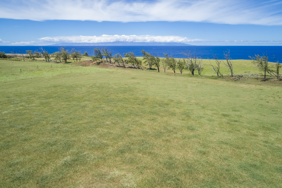 55-315 Hawi Road Kapaau, HI 96755 - Photo 3 of 12 a view of an ocean