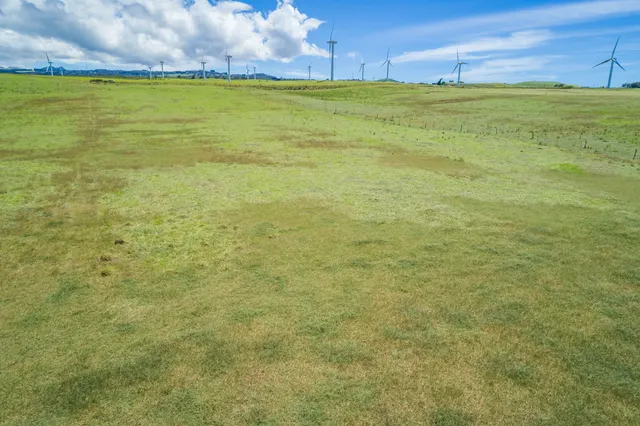 a view of an ocean from a yard