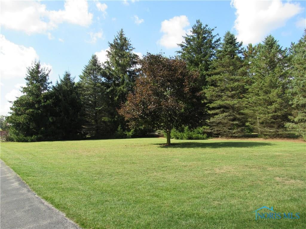 4835 South Fulton-Lucas Road Swanton, OH 43558 - Photo 29 of 35 Gallery Image 29