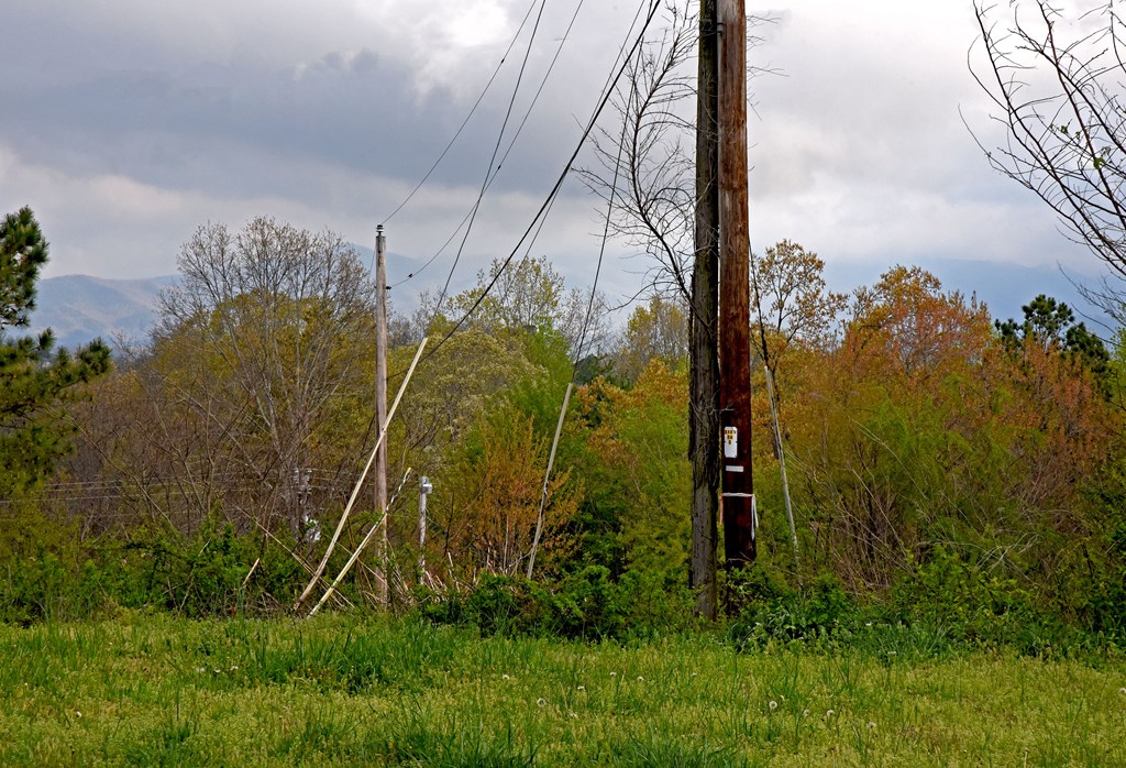 265 Ross Road Blue Ridge, GA 30513 - Photo 6 of 52