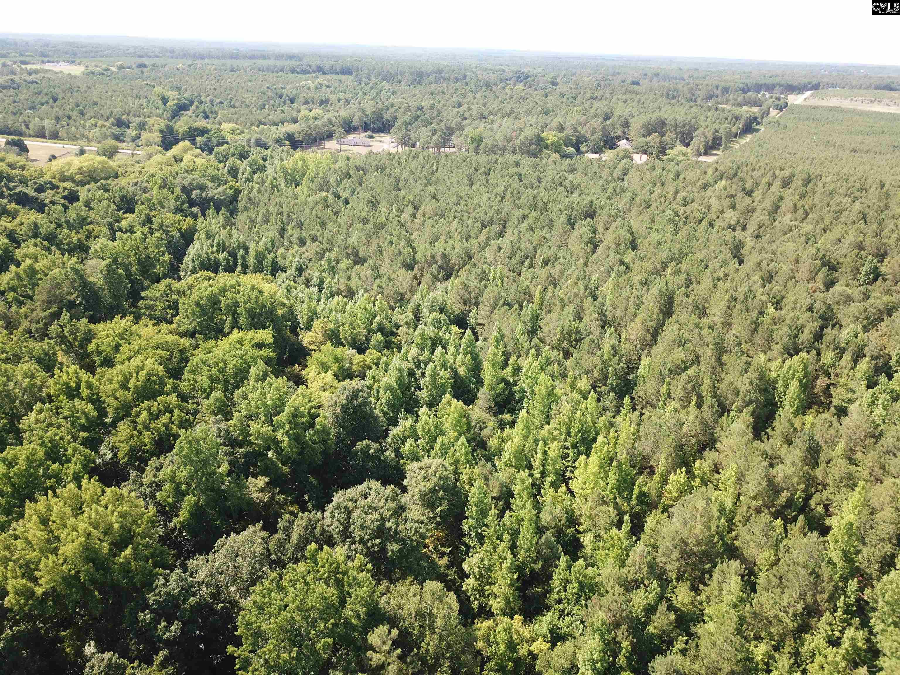 5051 Springhill Road Rembert, SC 29128 - Photo 2 of 6