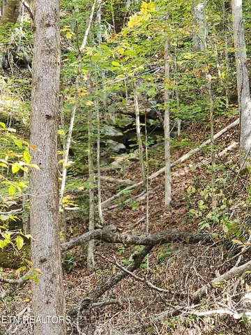 $299,900 | Terry Creek Lane, Pioneer, TN 37847