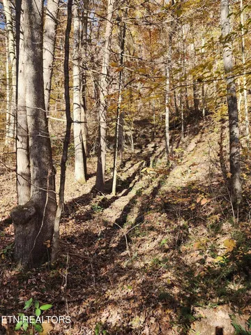 $299,900 | Terry Creek Lane, Pioneer, TN 37847