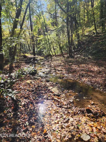 $299,900 | Terry Creek Lane, Pioneer, TN 37847