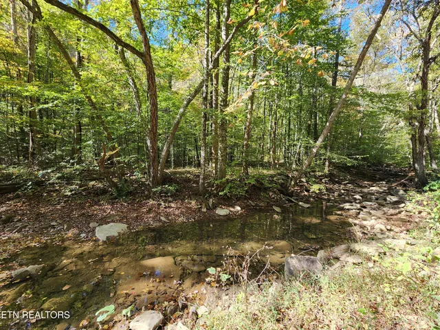 $299,900 | Terry Creek Lane, Pioneer, TN 37847