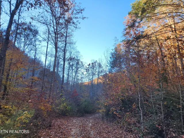 $299,900 | Terry Creek Lane, Pioneer, TN 37847