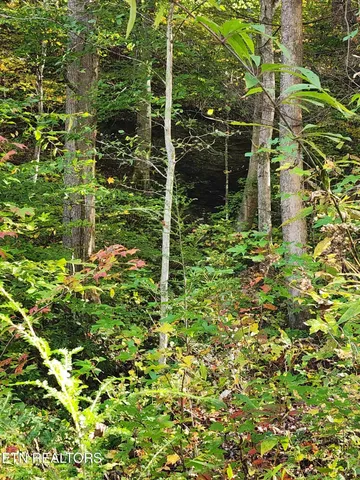 $299,900 | Terry Creek Lane, Pioneer, TN 37847