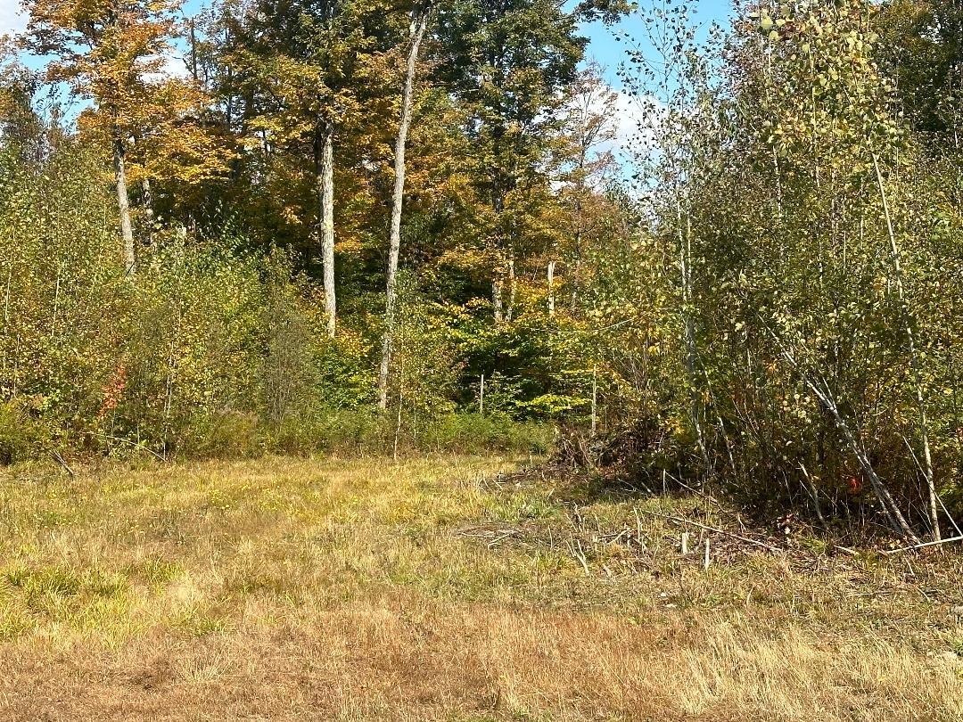 0 Brookview Lane Wolcott, VT 05680 - Photo 12 of 47