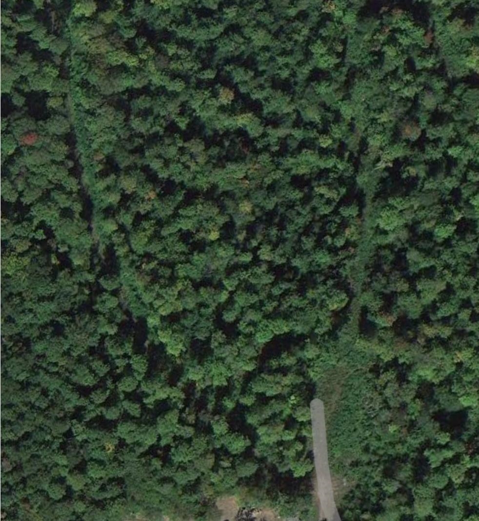 0 Brookview Lane Wolcott, VT 05680 - Photo 14 of 47