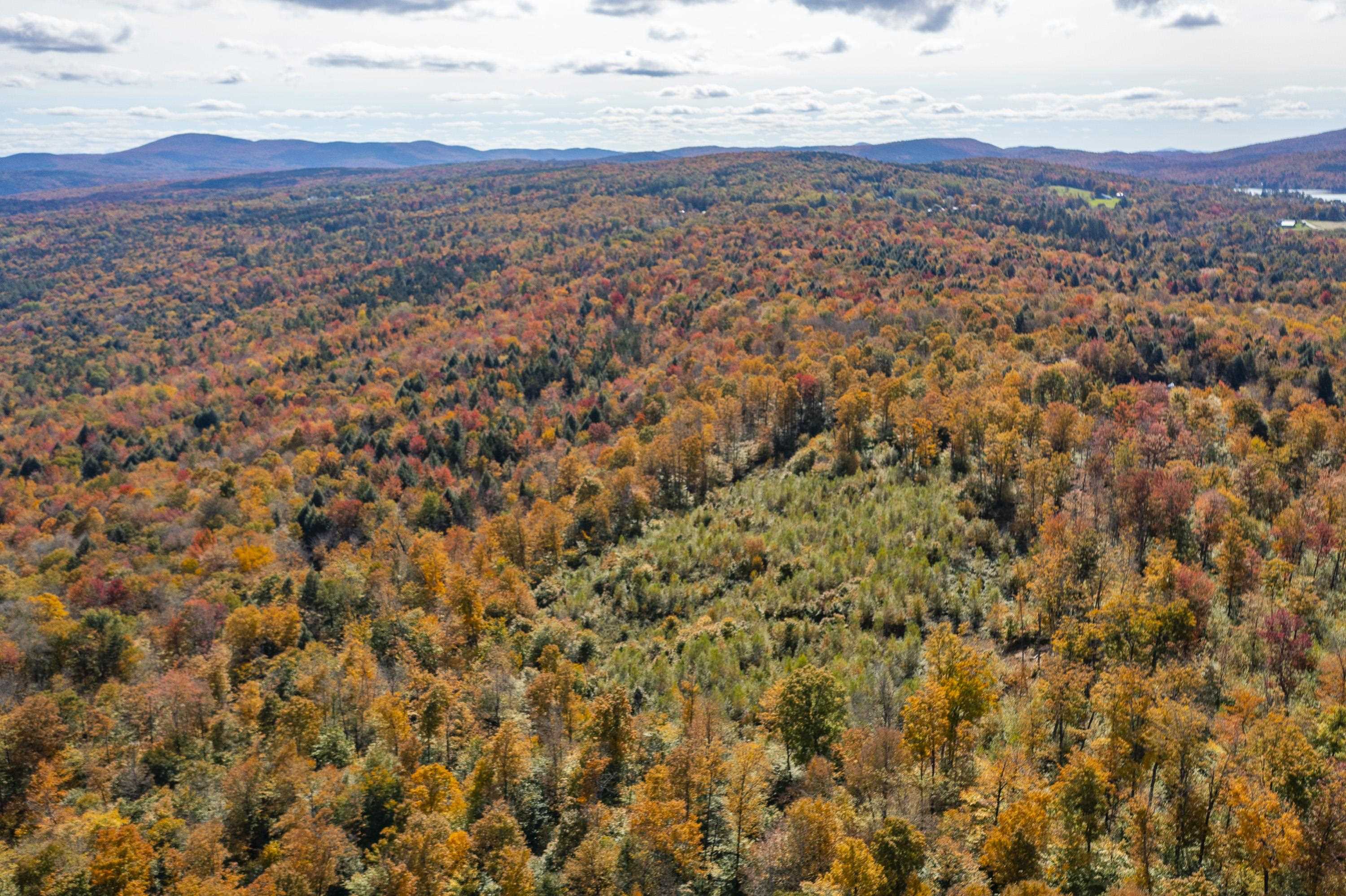 0 Brookview Lane Wolcott, VT 05680 - Photo 16 of 47