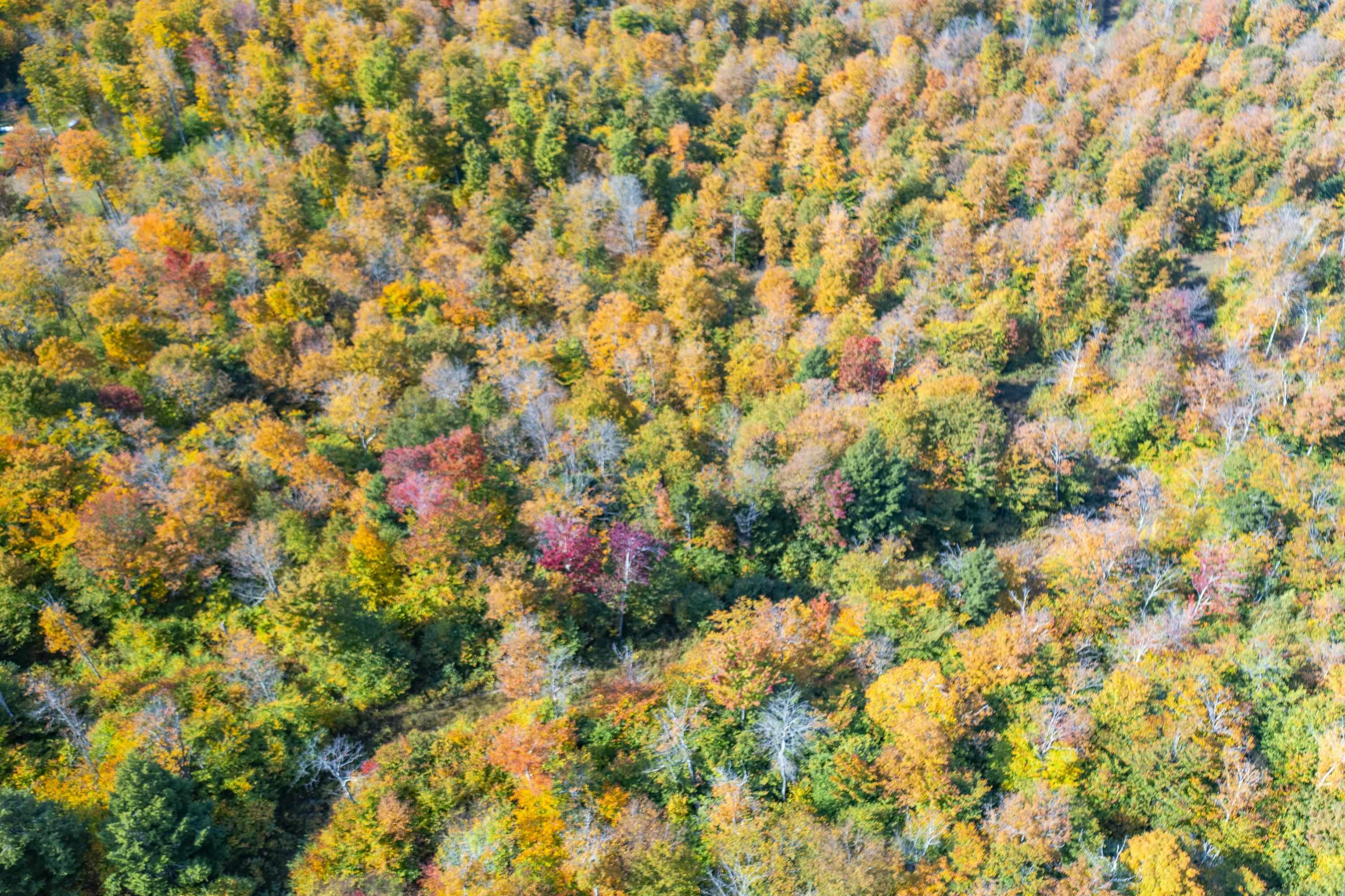 0 Brookview Lane Wolcott, VT 05680 - Photo 19 of 47