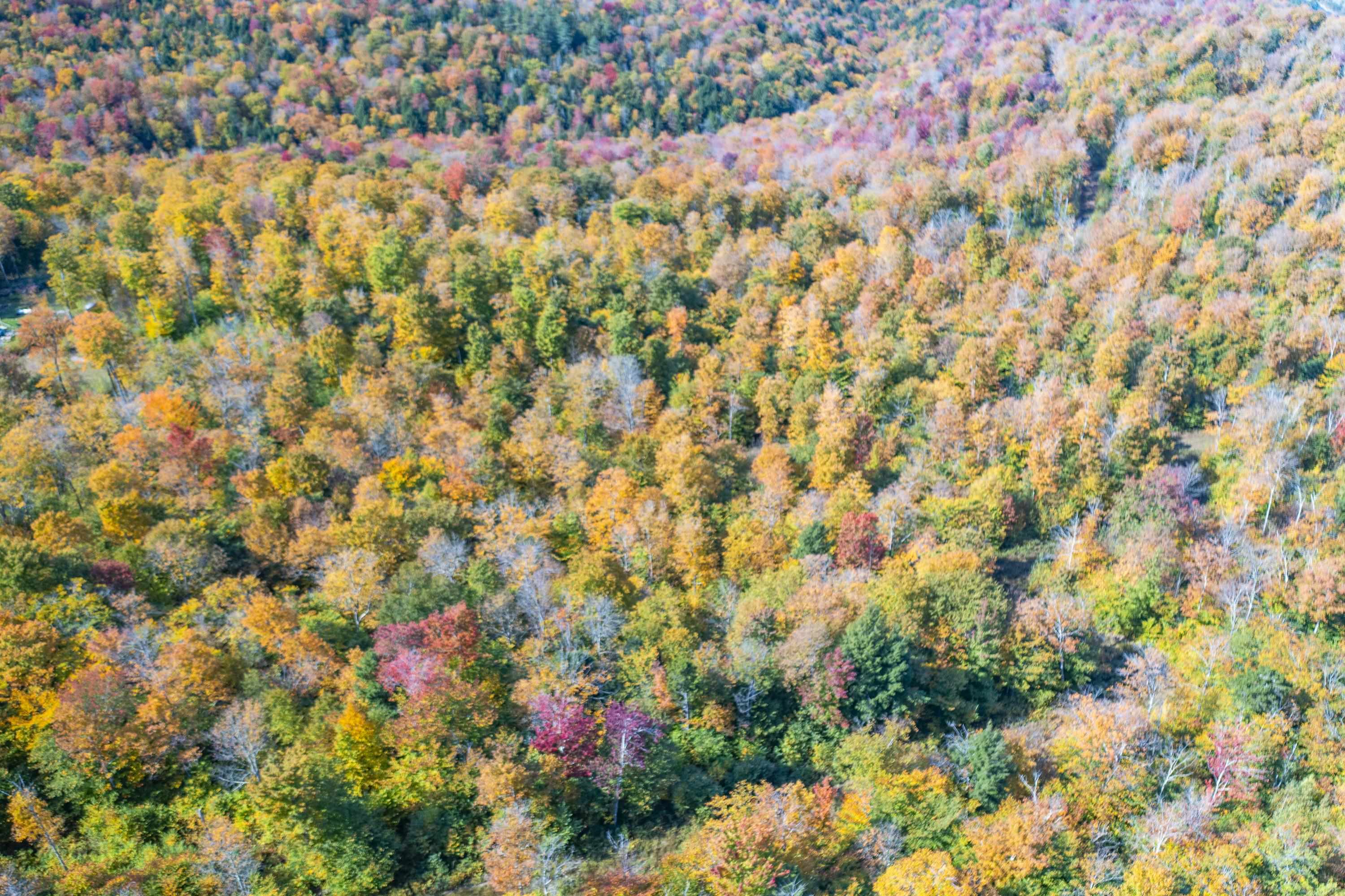 0 Brookview Lane Wolcott, VT 05680 - Photo 20 of 47
