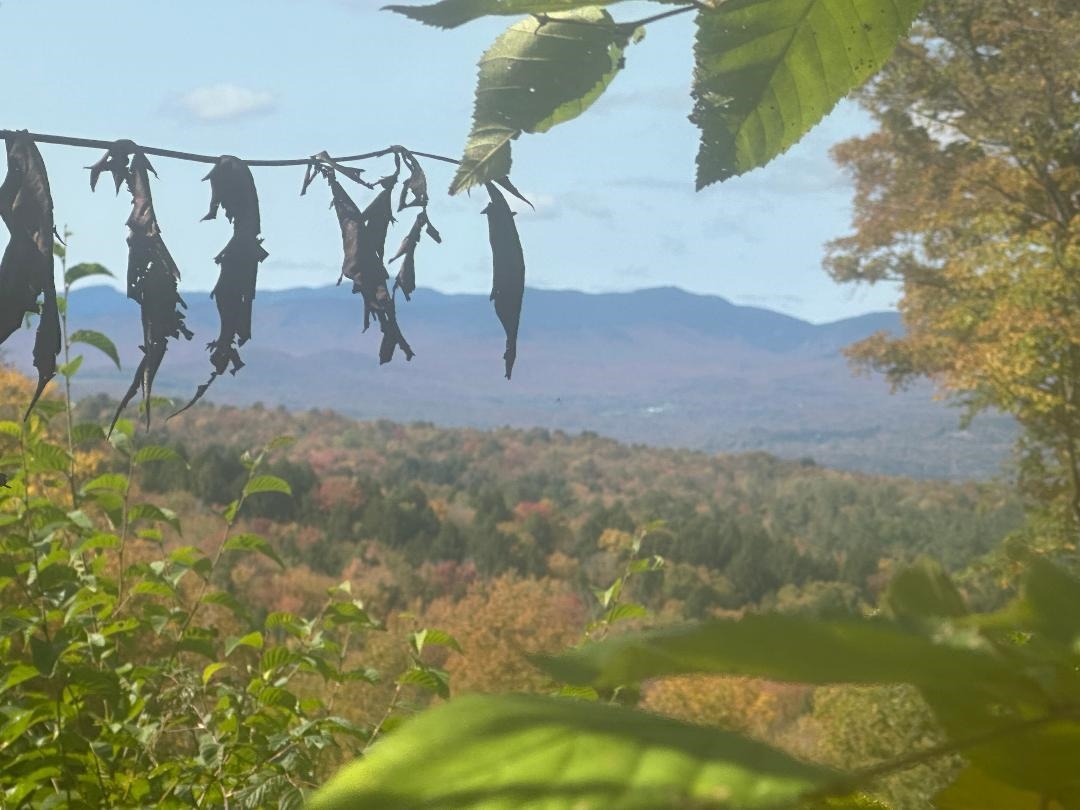0 Brookview Lane Wolcott, VT 05680 - Photo 2 of 47