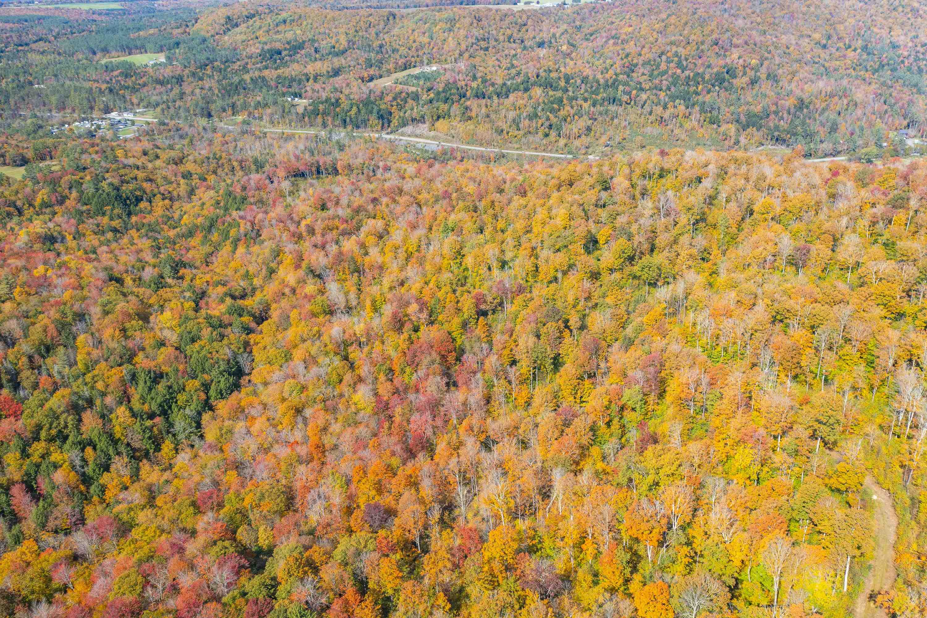 0 Brookview Lane Wolcott, VT 05680 - Photo 22 of 47