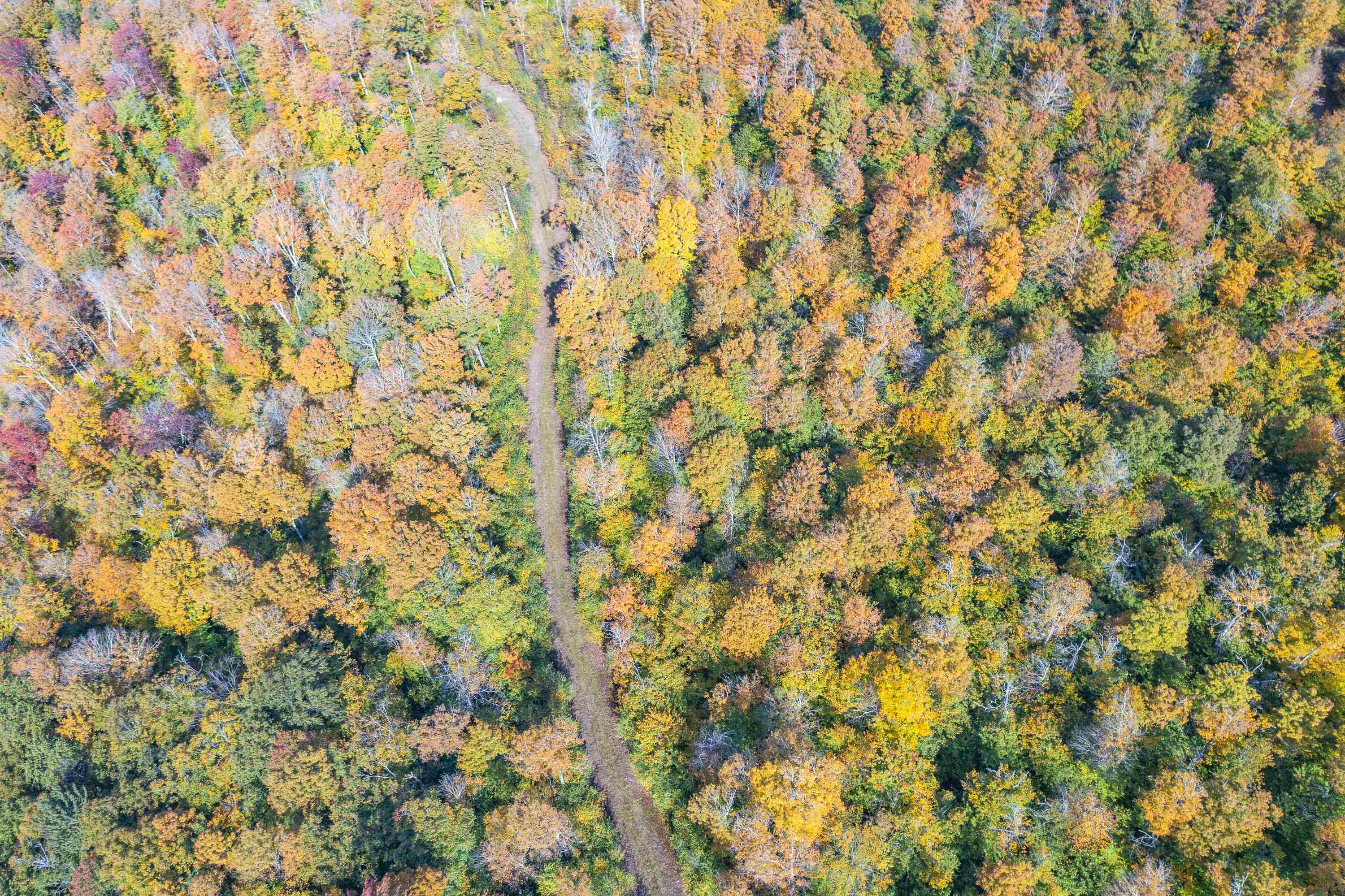 0 Brookview Lane Wolcott, VT 05680 - Photo 25 of 47
