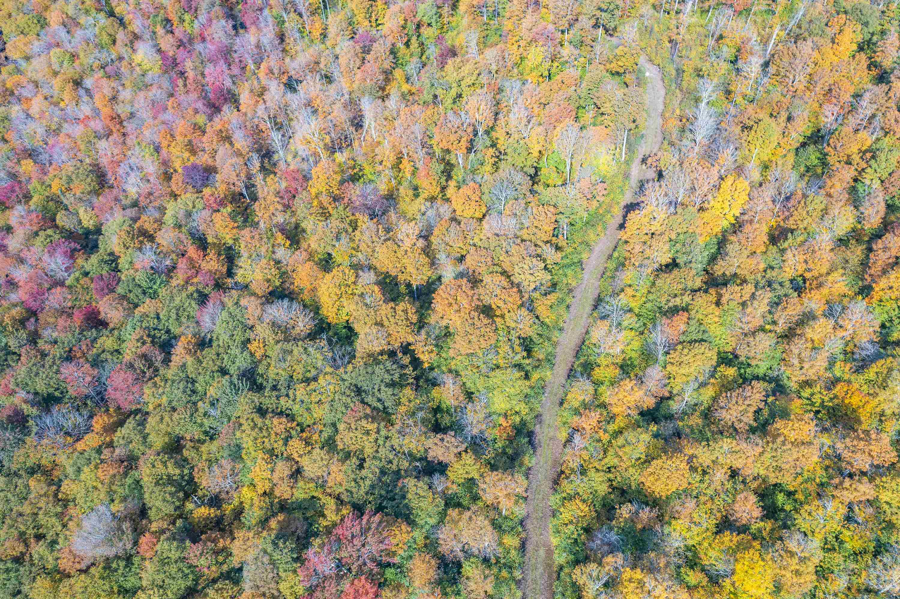 0 Brookview Lane Wolcott, VT 05680 - Photo 26 of 47
