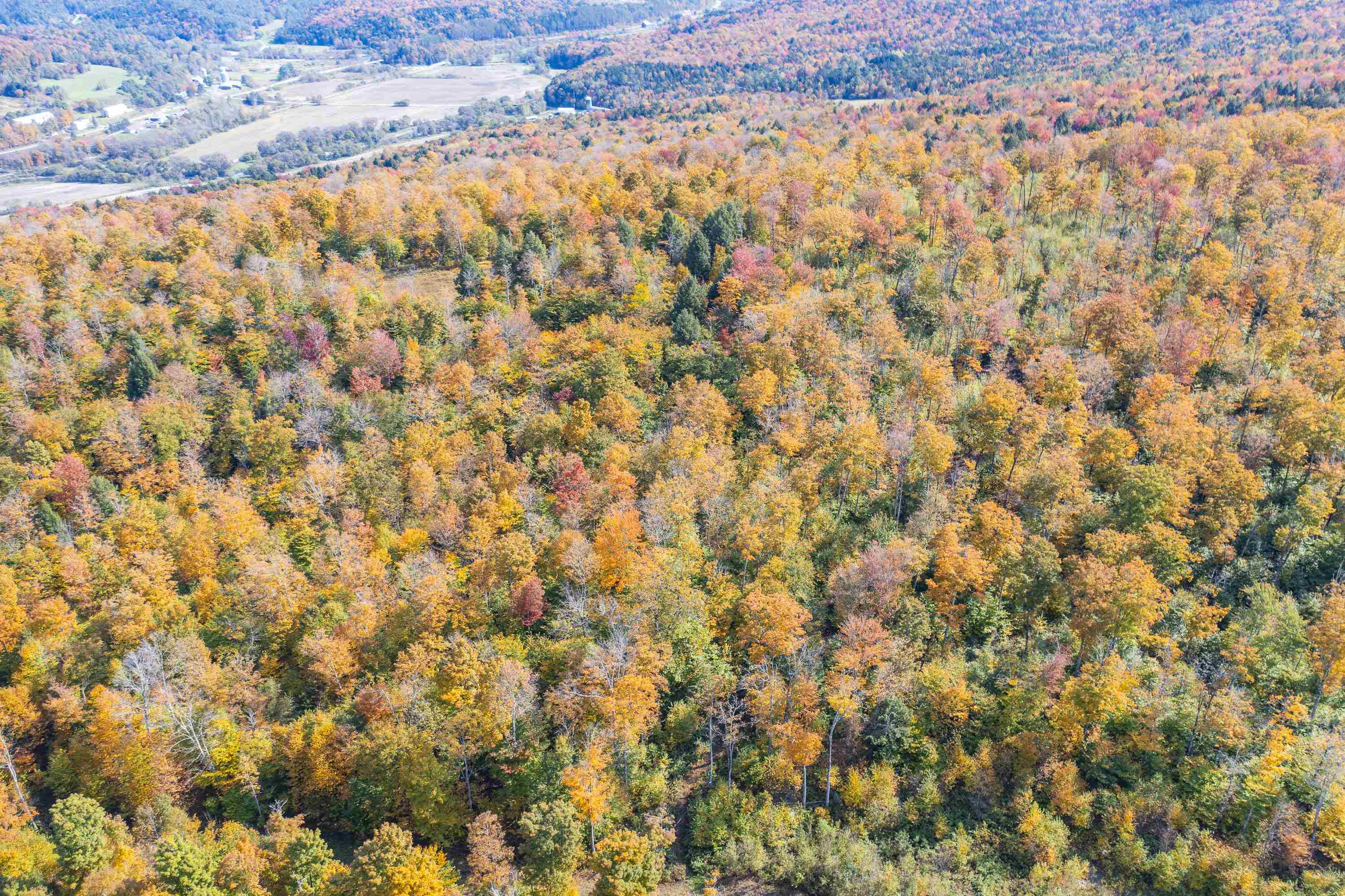 0 Brookview Lane Wolcott, VT 05680 - Photo 29 of 47