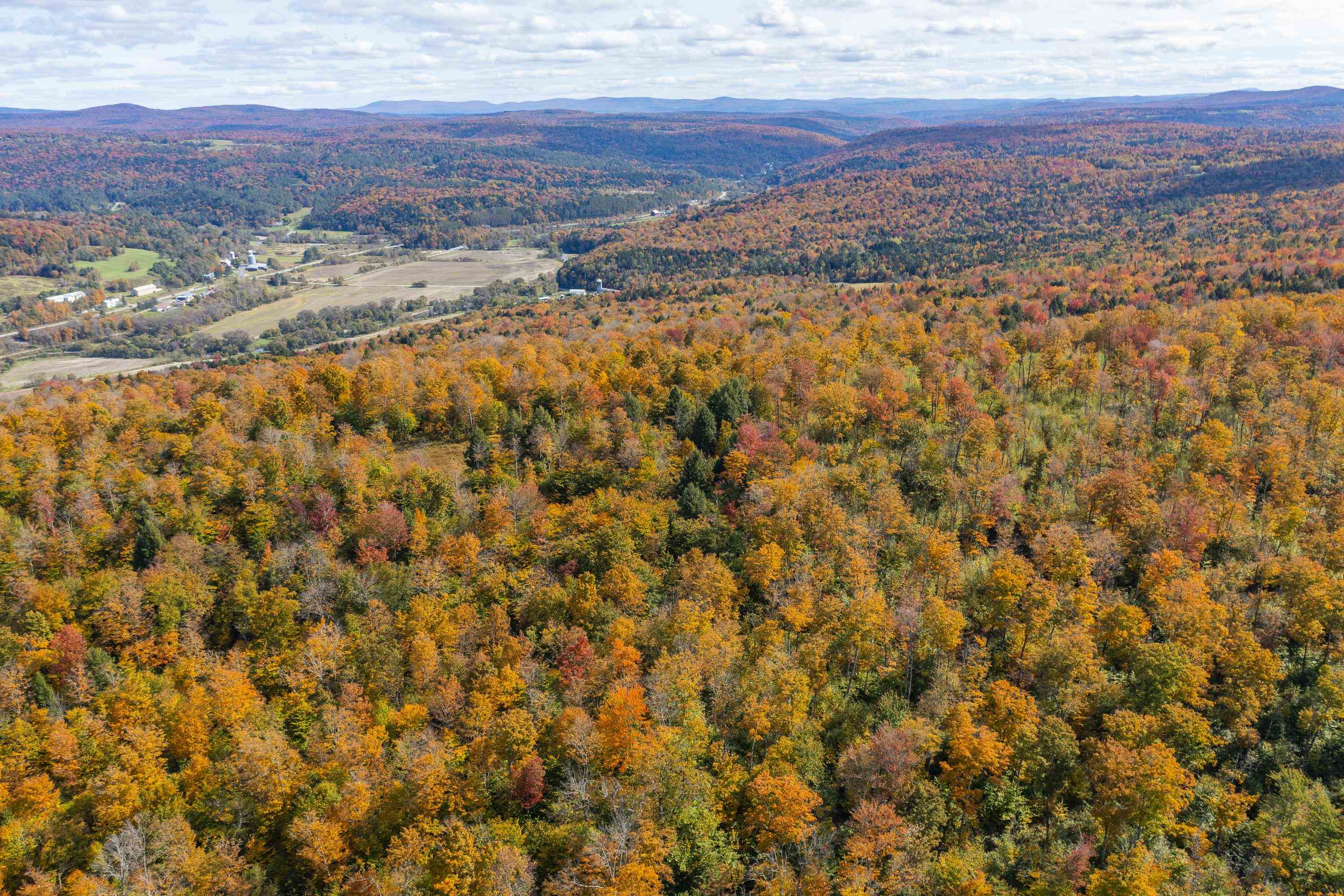 0 Brookview Lane Wolcott, VT 05680 - Photo 30 of 47