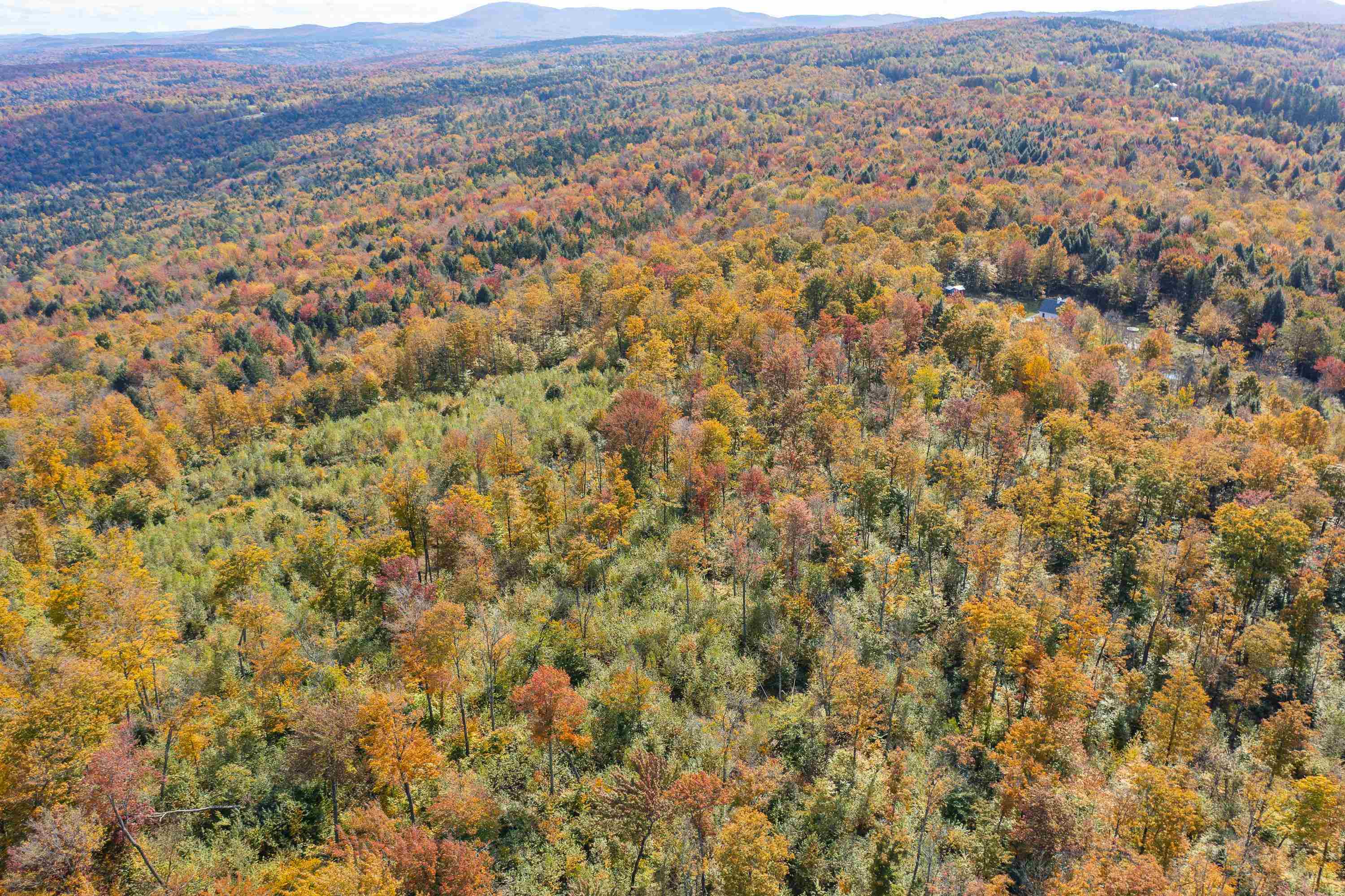 0 Brookview Lane Wolcott, VT 05680 - Photo 35 of 47