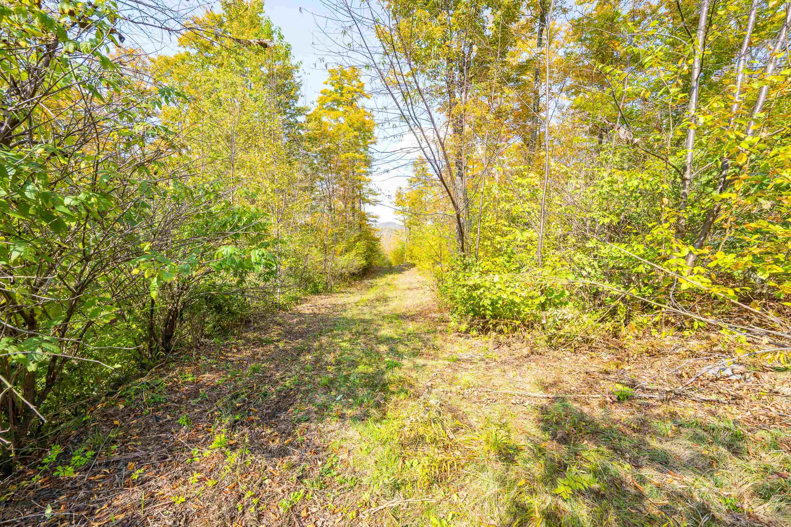0 Brookview Lane Wolcott, VT 05680 - Photo 38 of 47