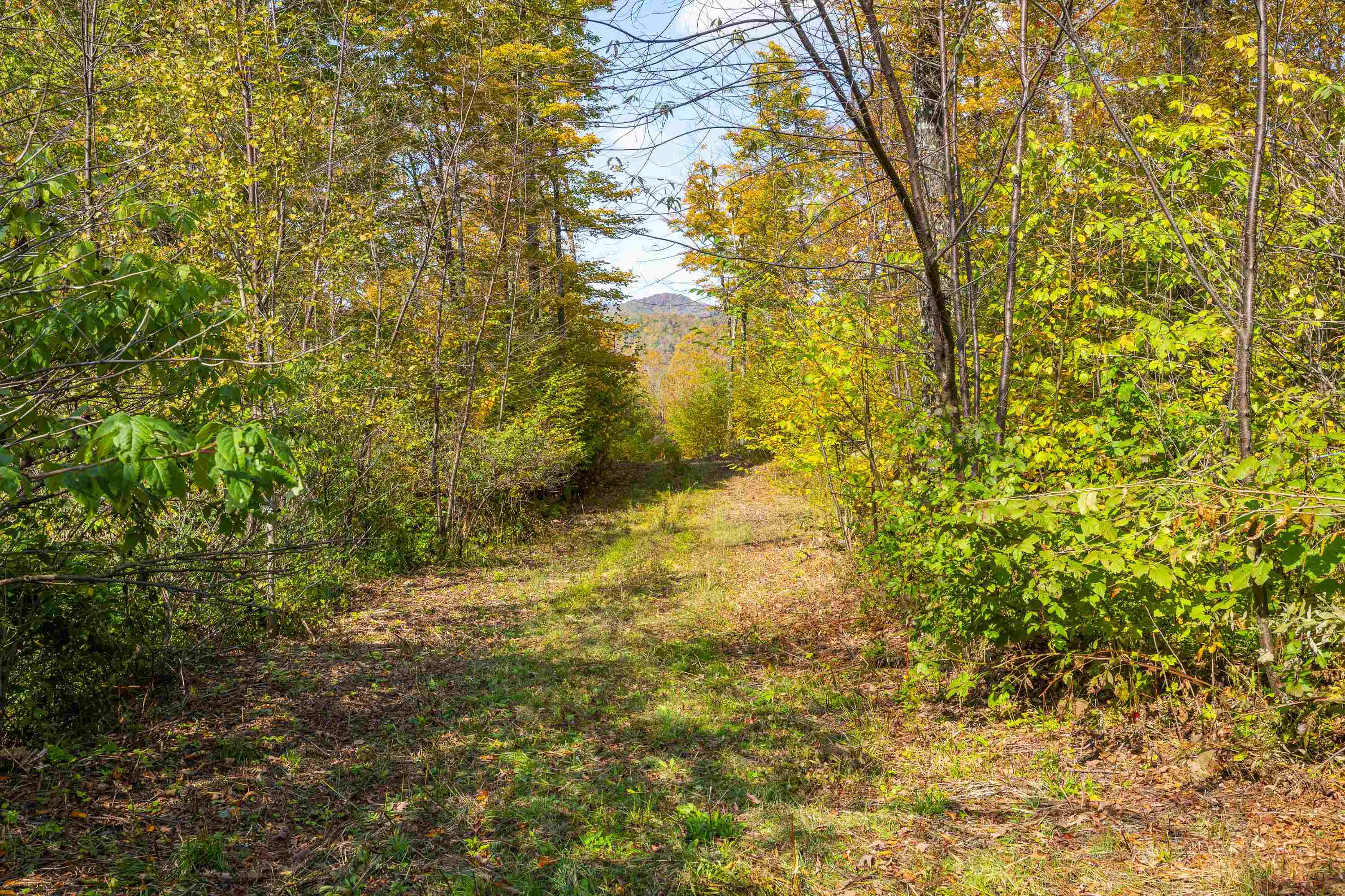 0 Brookview Lane Wolcott, VT 05680 - Photo 39 of 47