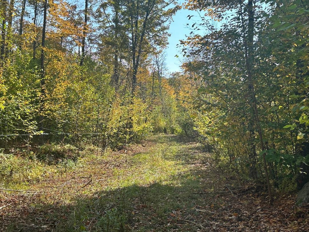 0 Brookview Lane Wolcott, VT 05680 - Photo 4 of 47