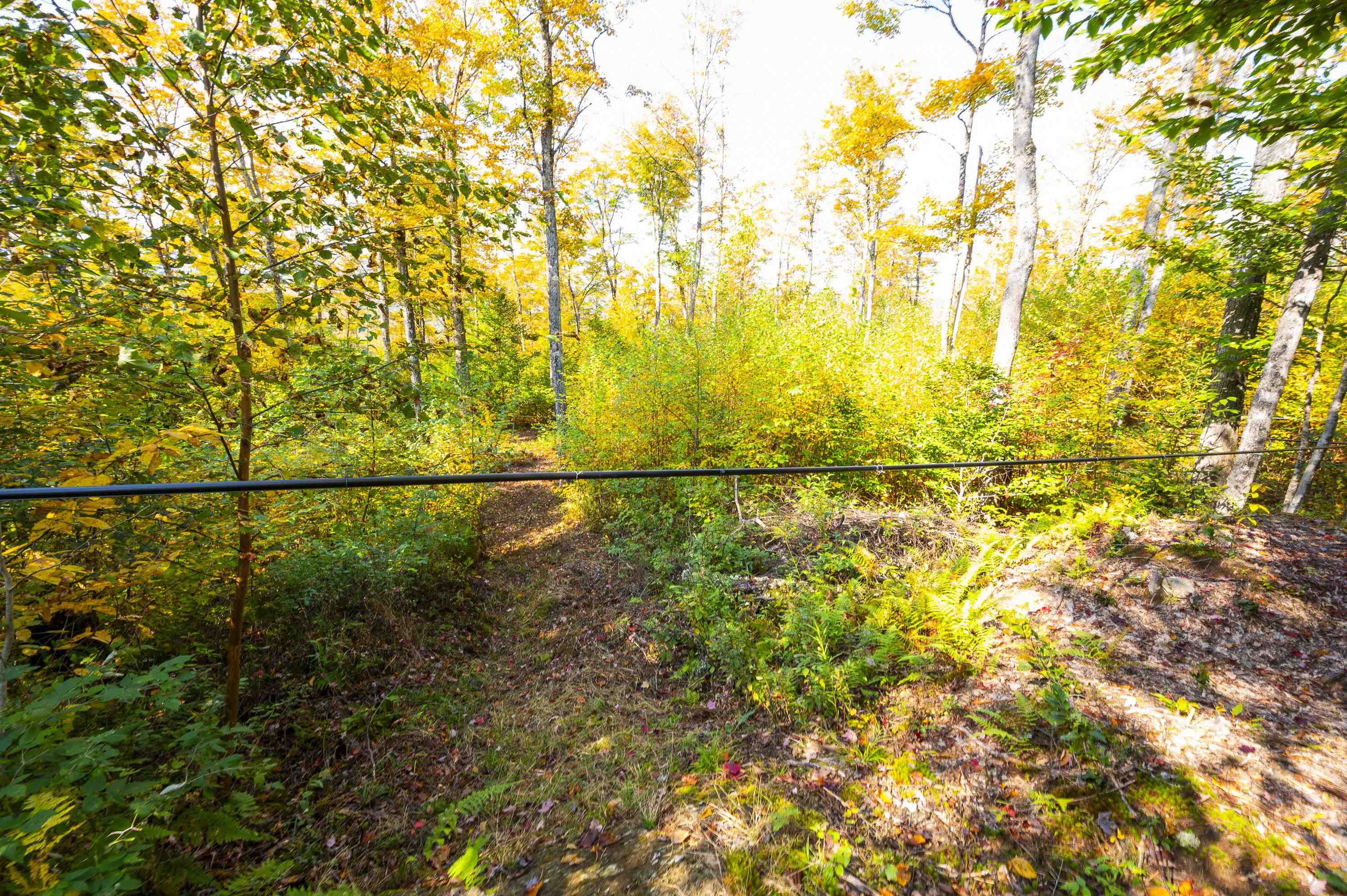 0 Brookview Lane Wolcott, VT 05680 - Photo 43 of 47