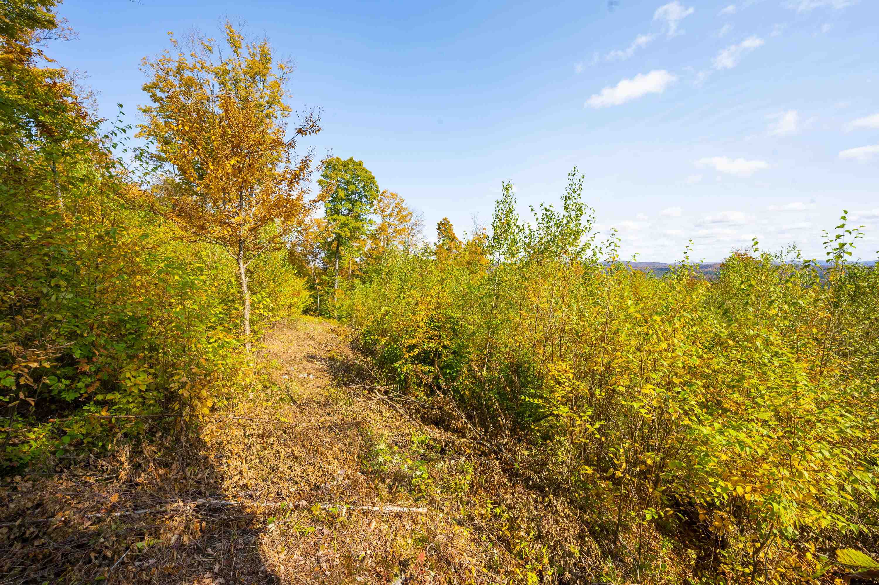 0 Brookview Lane Wolcott, VT 05680 - Photo 44 of 47