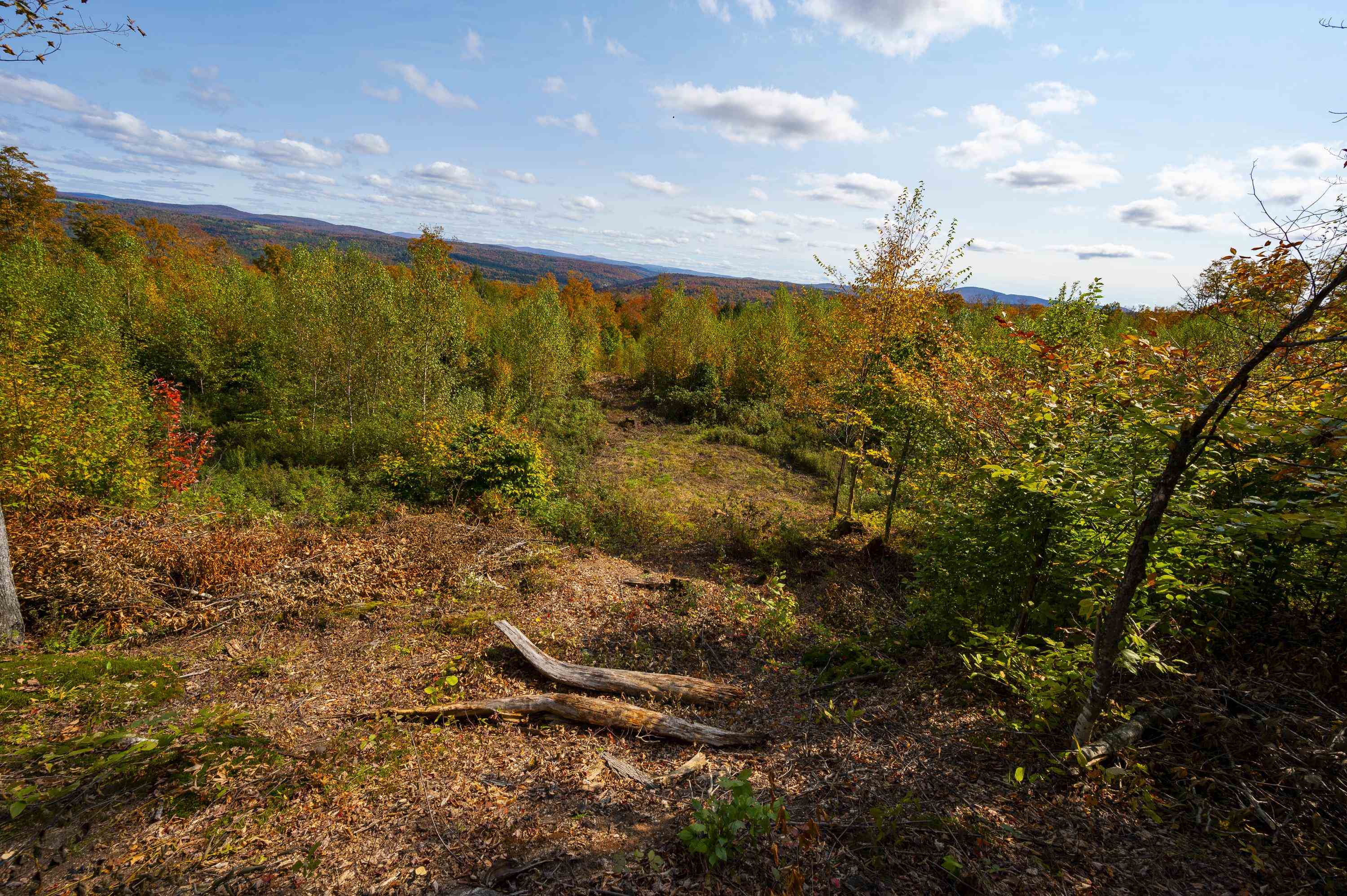 0 Brookview Lane Wolcott, VT 05680 - Photo 45 of 47