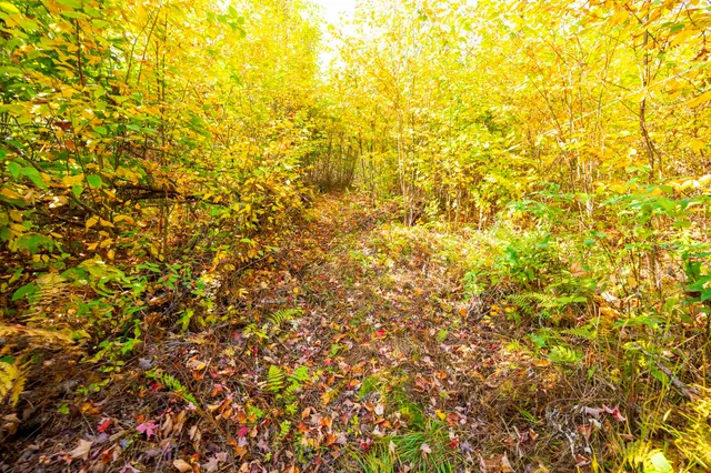 $800,000 | 0 Brookview Lane, Wolcott, VT 05680