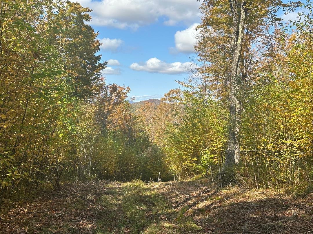 0 Brookview Lane Wolcott, VT 05680 - Photo 5 of 47
