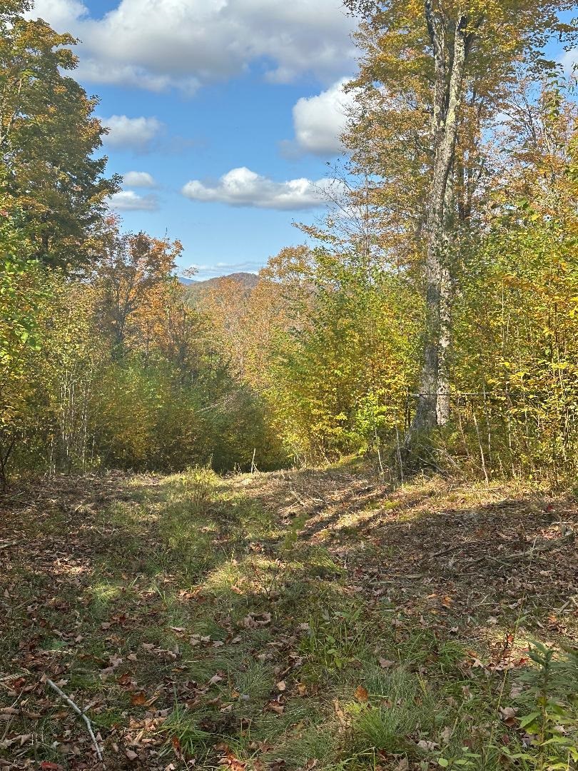 0 Brookview Lane Wolcott, VT 05680 - Photo 6 of 47