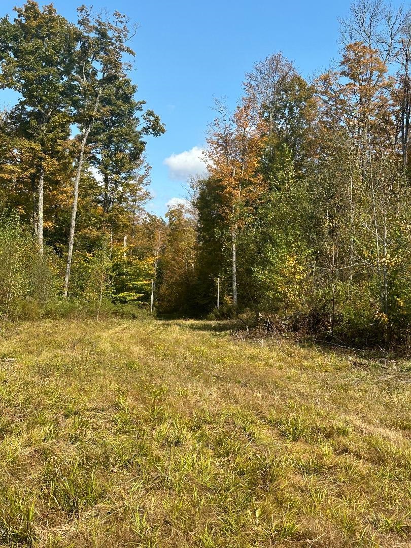 0 Brookview Lane Wolcott, VT 05680 - Photo 8 of 47