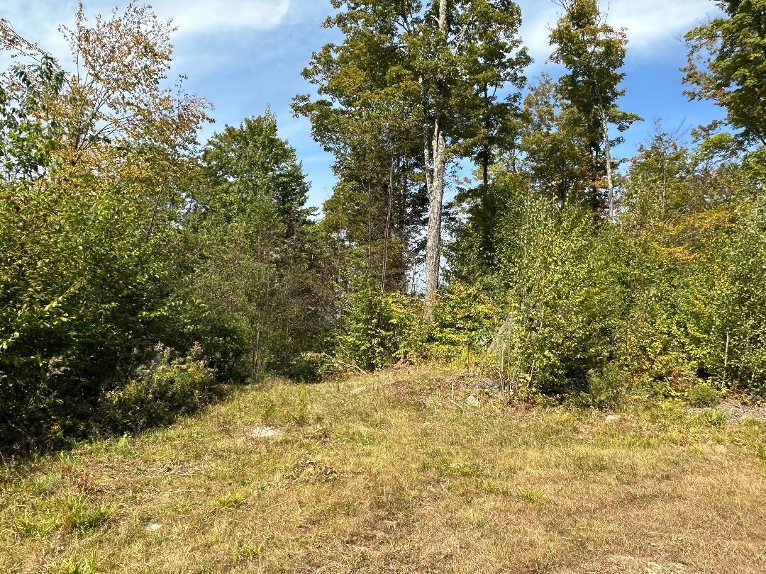 0 Brookview Lane Wolcott, VT 05680 - Photo 9 of 47